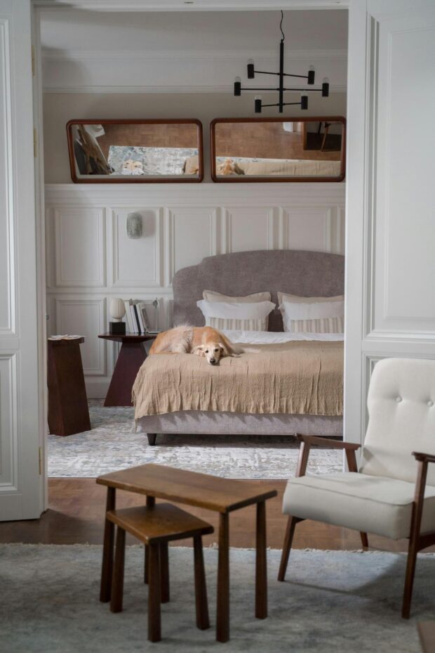 Dicas de Decoração Pet Friendly para Tornar Sua Casa Confortável para Cães