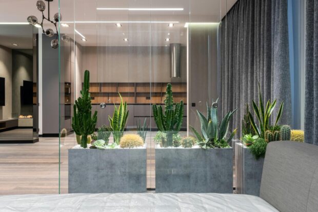 Transforme sua Casa com Dicas de Decoração e Tendências de Design de Interiores