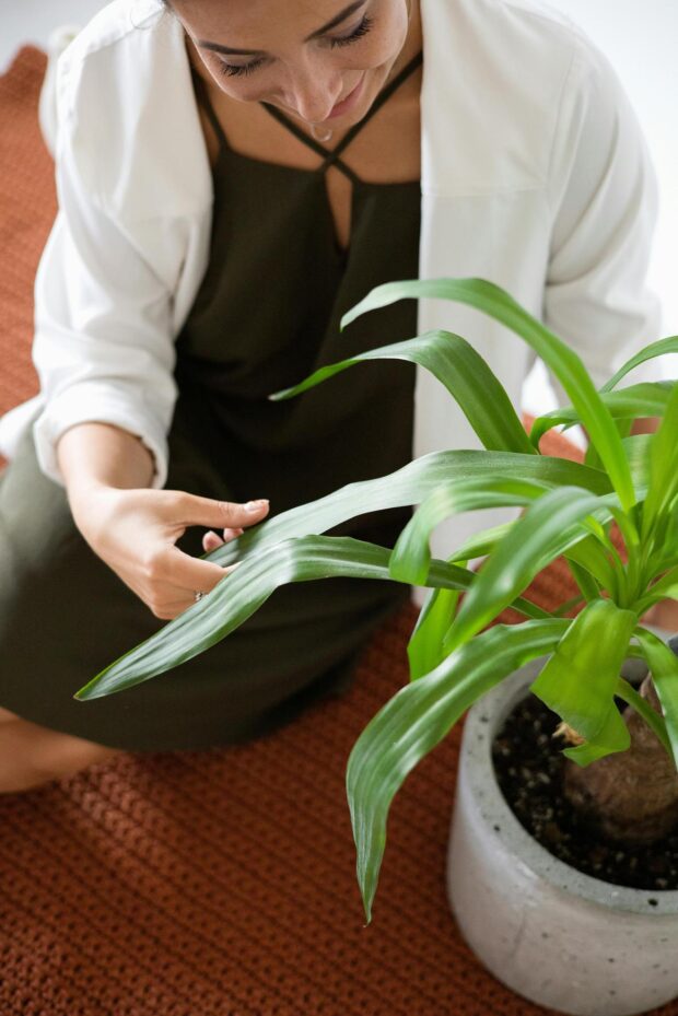 Jardim Vertical em Apartamento: Ideias de Decoração Sustentável para Ambientes Urbanos