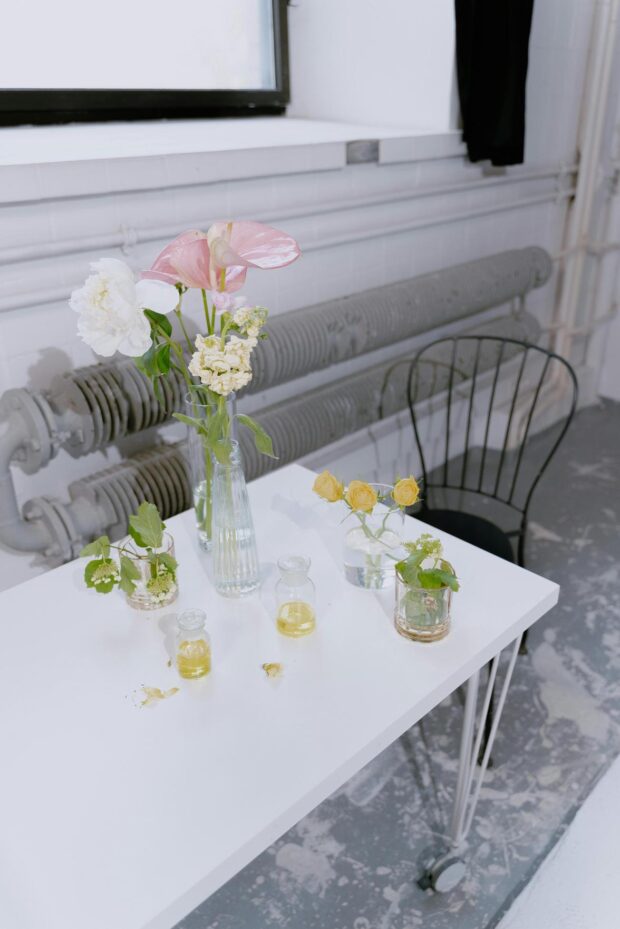 Decoração com Plantas: Dicas para Criar um Ambiente Estiloso e Energizante no Interior