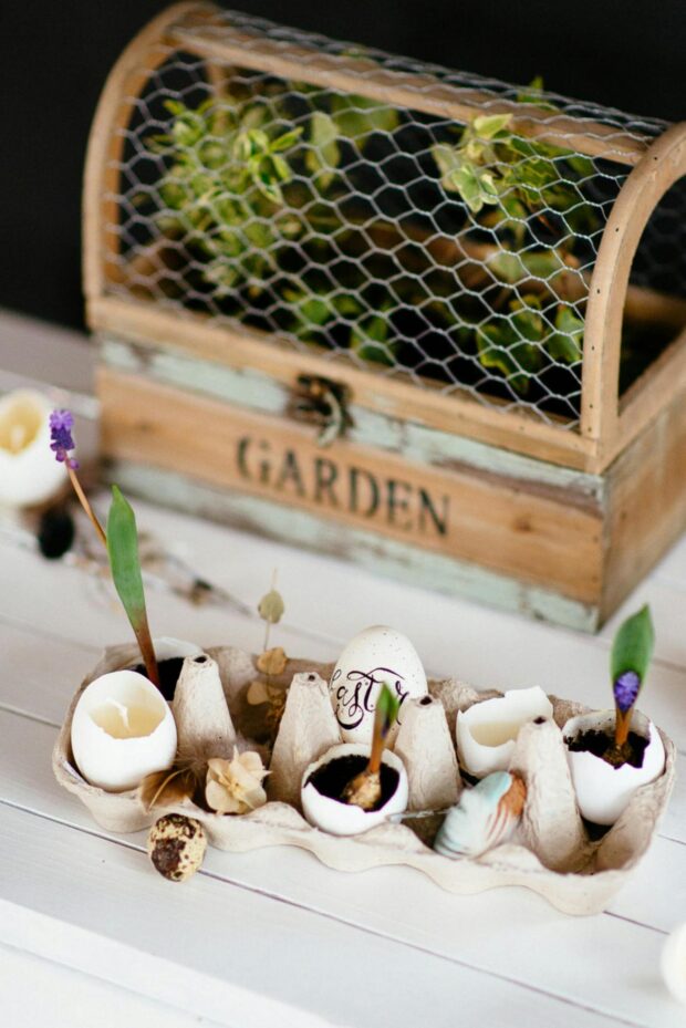 Decoração Saudável: Transformando Ambientes em Refúgios para o Bem-Estar Familiar