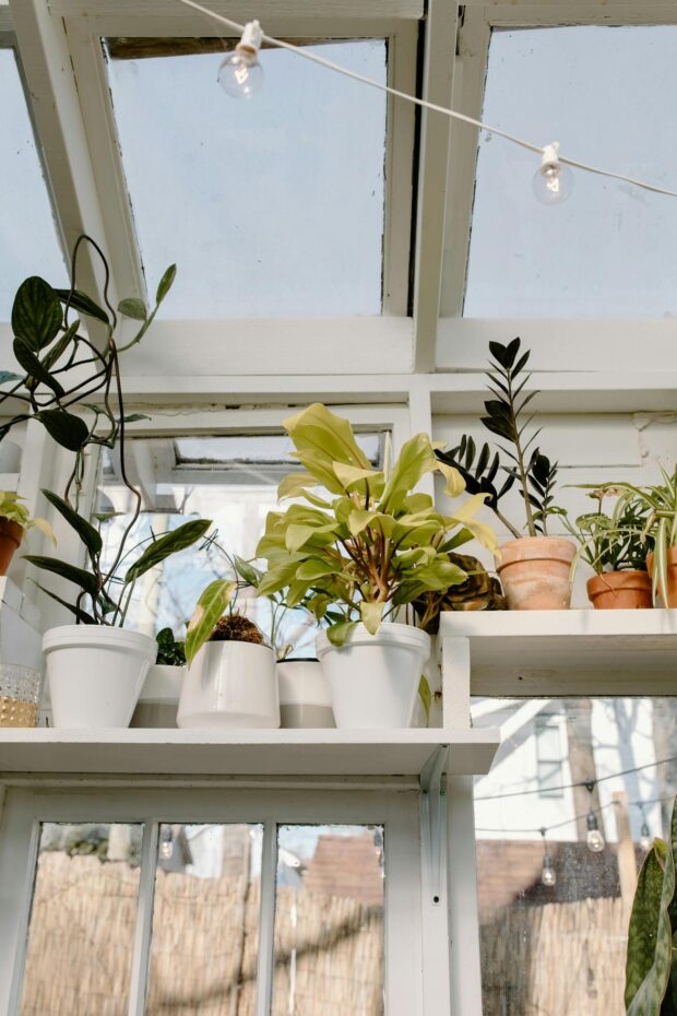 Ideias Criativas para Decorar Espaços Pequenos com Plantas