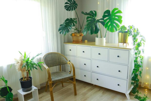 Dicas de Decoração de Interiores: Como Criar um Ambiente Atraente e Estiloso