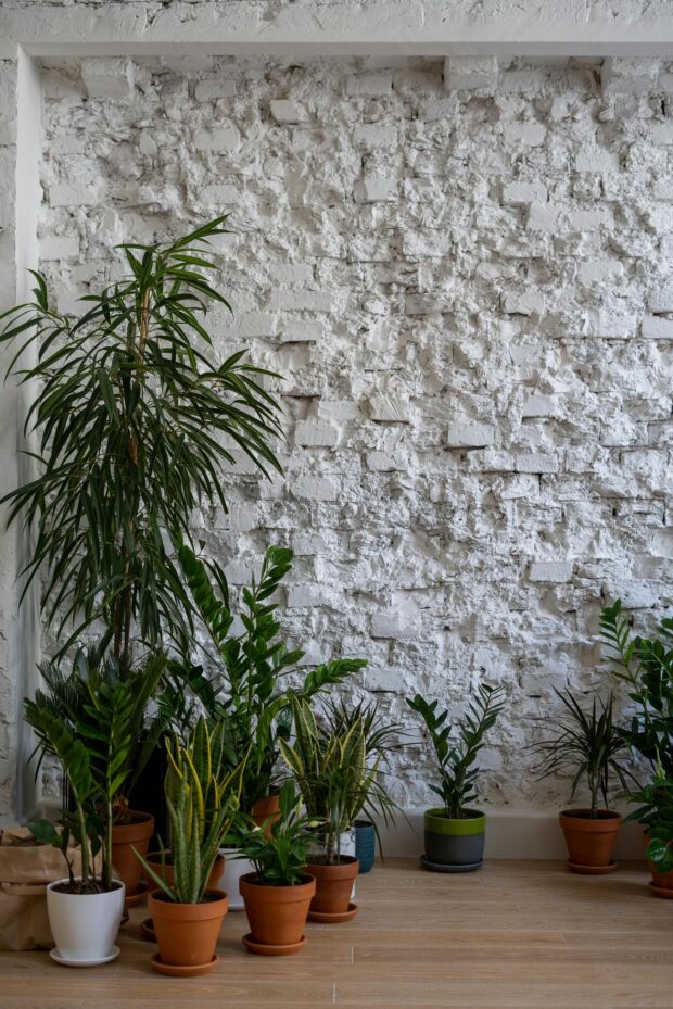 Ambiente Acessível para Autistas: Dicas de Decoração Inclusiva e Confortável