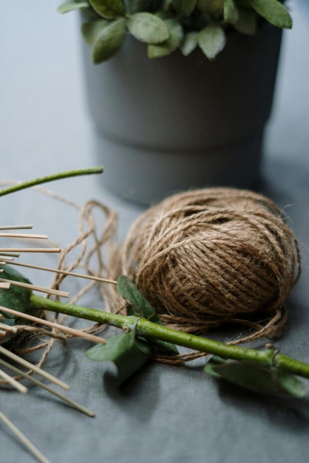 Transforme sua Casa com Dicas de Decoração Sustentável para uma Jardinagem Prática
