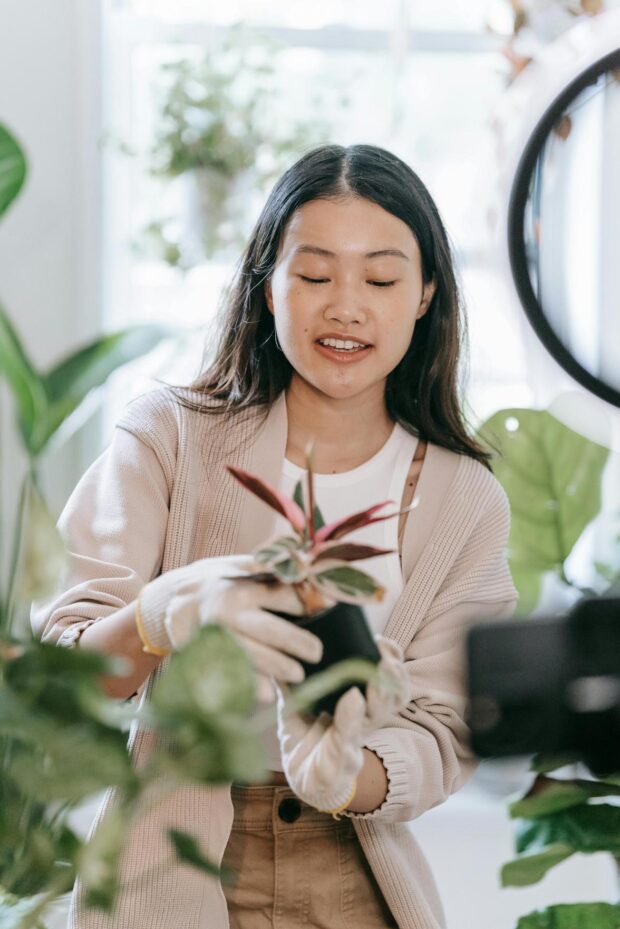 Decoração Sustentável: Transforme Sua Casa com Design Ecológico e Espaços Verdes