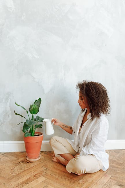 A Conexão entre Casa, Saúde e Performance: Transforme Seu Espaço em Um Aliado Para o Bem-Estar