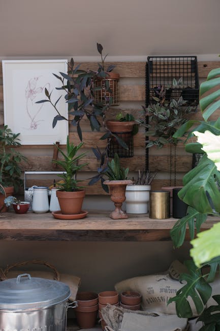 Como Decorar Sua Casa e Economizar: Dicas Inspiradoras para um Estilo de Vida Sustentável